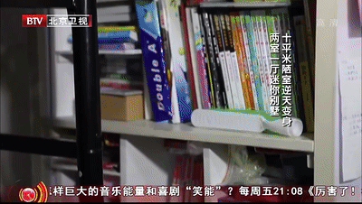 李玫瑾：最好的家庭教育，爸爸是榜样，妈妈是基石