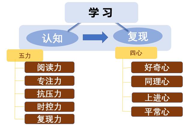 北大状元周雷：一个高考状元的家庭教育观